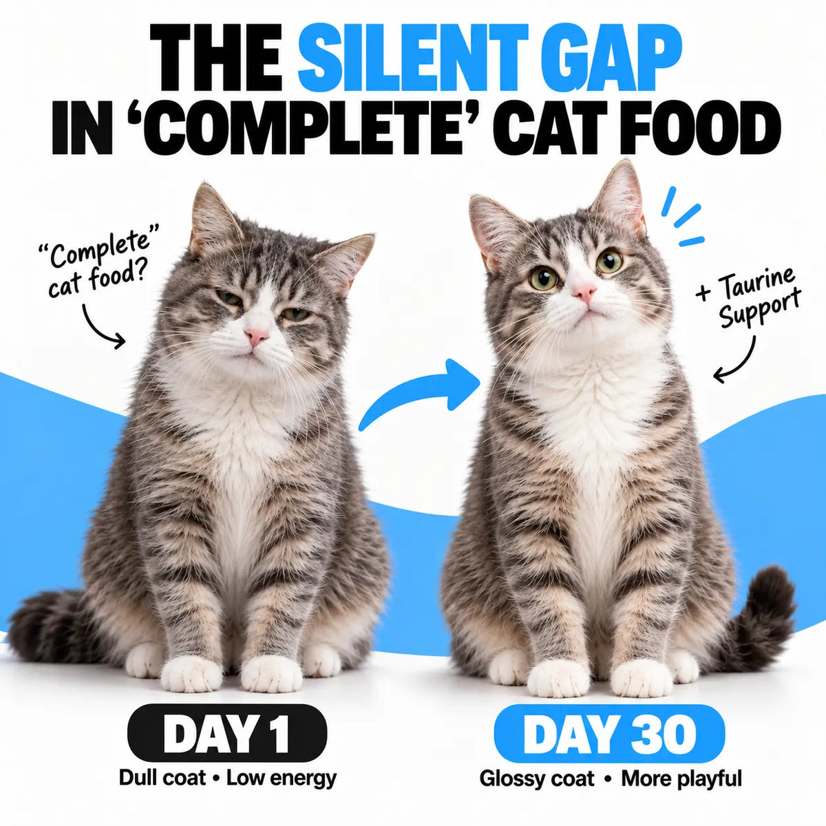 PurrSupps™ Taurine Supplement