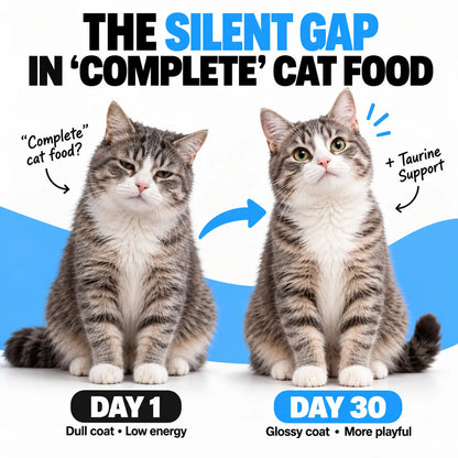 PurrSupps™ Taurine Supplement