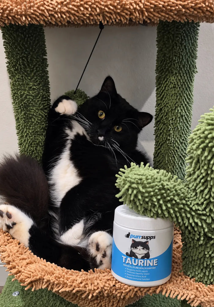 Dana H., Hamilton